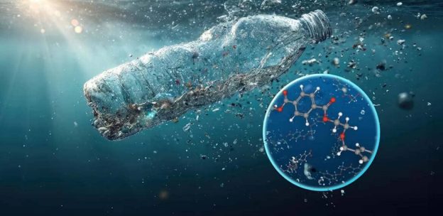 Dokter itu hanya menatap layar komputernya. Diam. Sepuluh menit lamanya